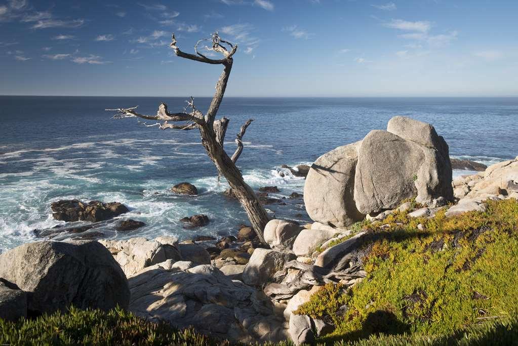 Inn At Spanish Bay Pebble Beach Экстерьер фото