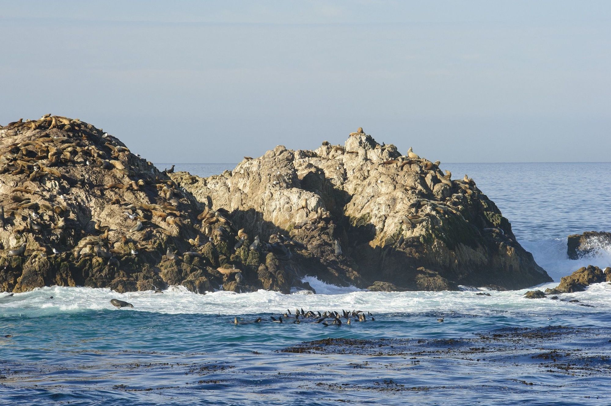 Inn At Spanish Bay Pebble Beach Экстерьер фото